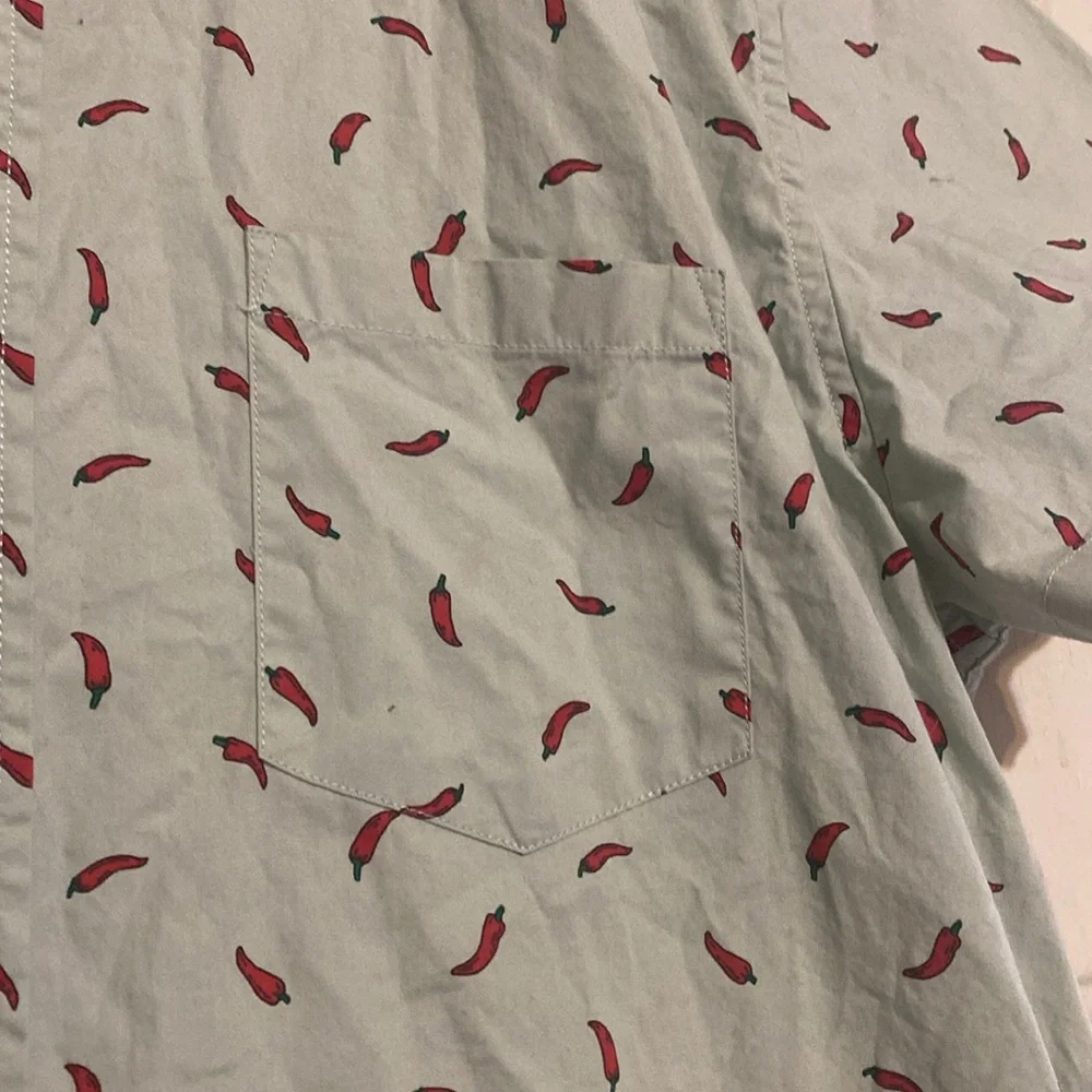 J. Crew Green and Red Casual Button‎ Down Shirt